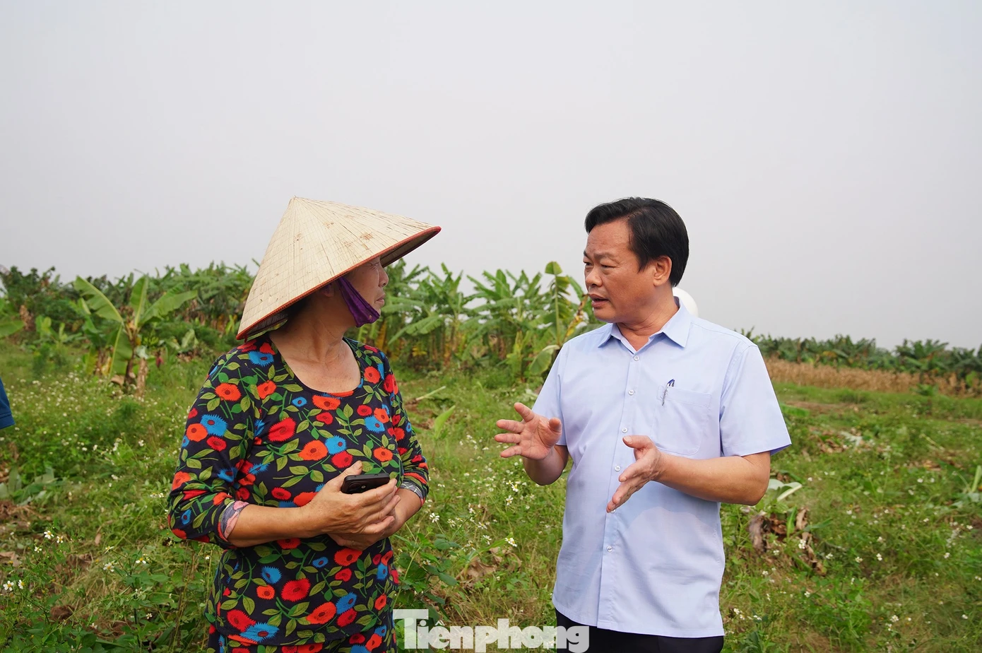 Lãnh đạo Hà Nội trực tiếp "vi hành", đề xuất chính sách đặc thù đẩy nhanh tiến độ cầu Tứ Liên - Ảnh 7