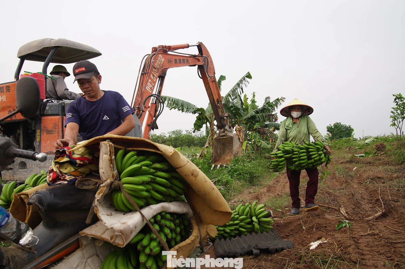 Lãnh đạo Hà Nội trực tiếp "vi hành", đề xuất chính sách đặc thù đẩy nhanh tiến độ cầu Tứ Liên - Ảnh 3