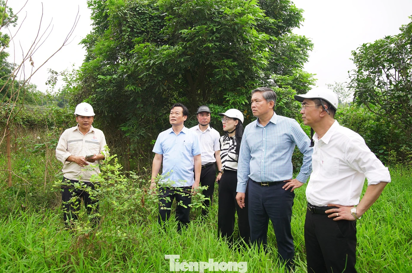 Lãnh đạo Hà Nội trực tiếp "vi hành", đề xuất chính sách đặc thù đẩy nhanh tiến độ cầu Tứ Liên - Ảnh 6