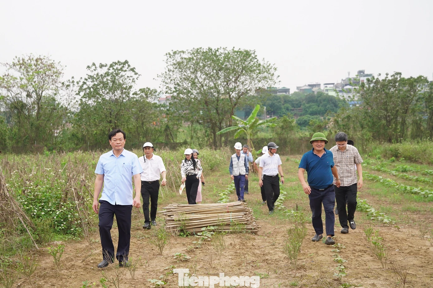 Lãnh đạo Hà Nội trực tiếp "vi hành", đề xuất chính sách đặc thù đẩy nhanh tiến độ cầu Tứ Liên - Ảnh 8