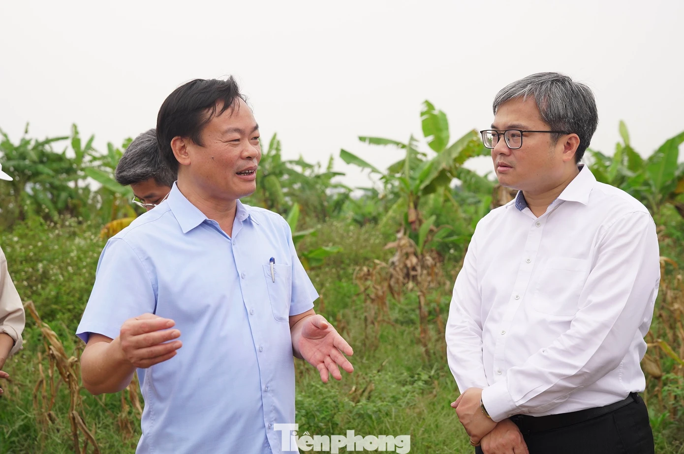 Lãnh đạo Hà Nội trực tiếp "vi hành", đề xuất chính sách đặc thù đẩy nhanh tiến độ cầu Tứ Liên - Ảnh 2