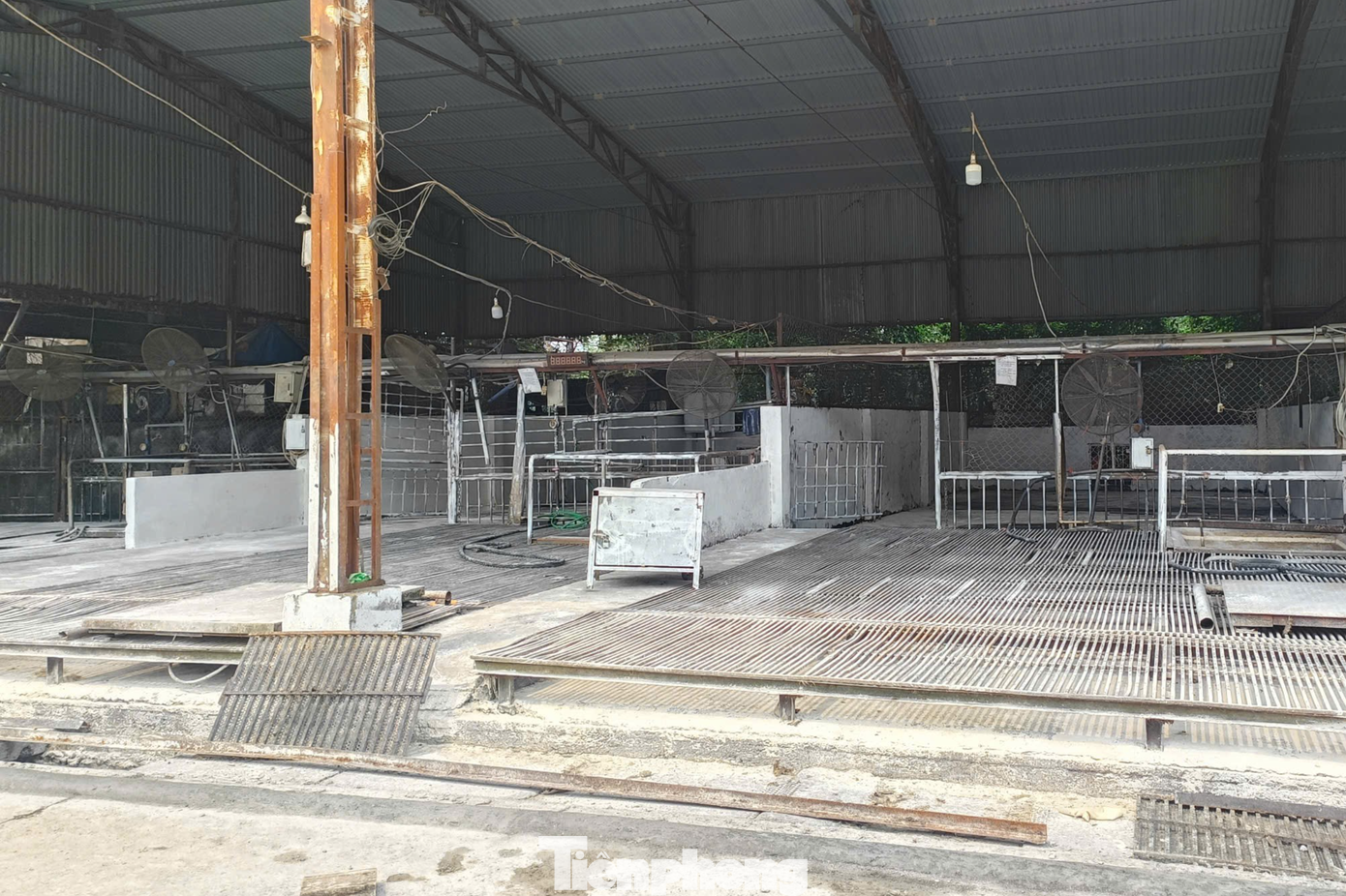 Vụ tiêu thụ gần 300 tấn lợn bệnh ở Hà Nội: Thu giữ cuốn sổ ghi chép việc ăn chia tiền 'làm luật' - Ảnh 2