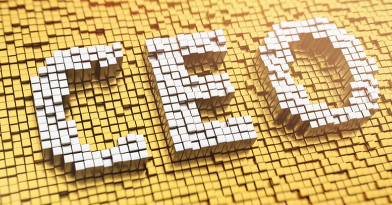 Phê duyệt Chương trình đào tạo, bồi dưỡng 10.000 giám đốc điều hành - Ảnh 1