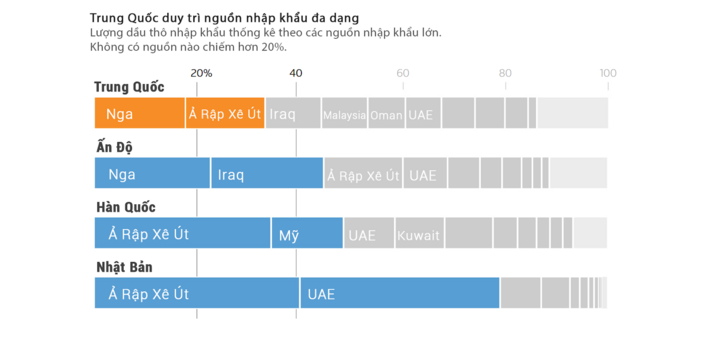 Infographic: Trung Quốc vượt qua 'cú sốc' eo biển Hormuz thế nào? - Ảnh 4