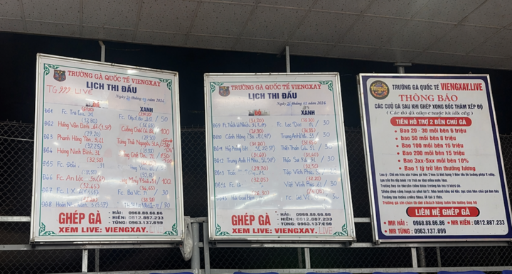 Trường gà 1.200 tỷ: Hé lộ đường dây vận hành tinh vi, kéo con bạc Việt sang Lào - Ảnh 3