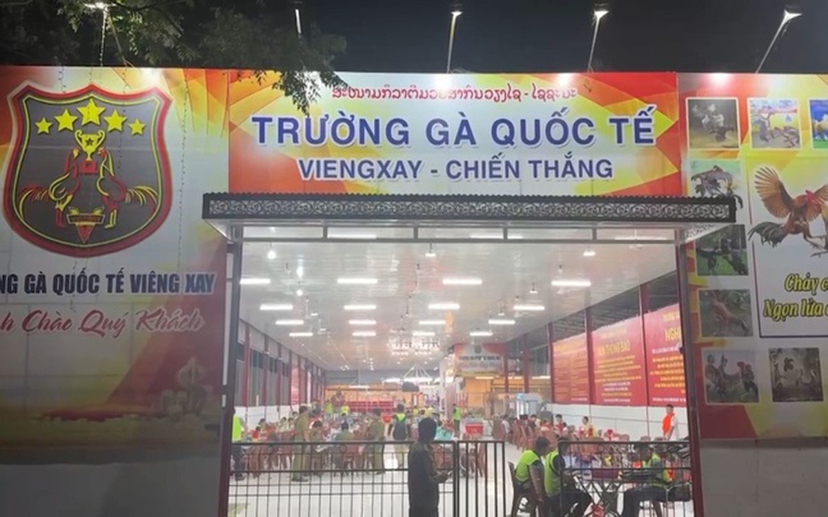 Trường gà 1.200 tỷ: Hé lộ đường dây vận hành tinh vi, kéo con bạc Việt sang Lào