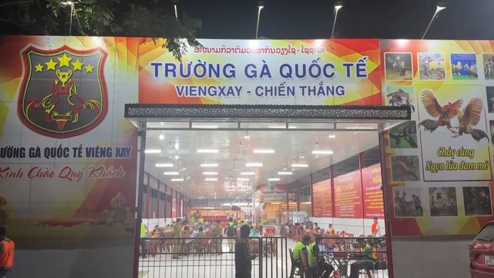 Trường gà 1.200 tỷ: Hé lộ đường dây vận hành tinh vi, kéo con bạc Việt sang Lào - Ảnh 1