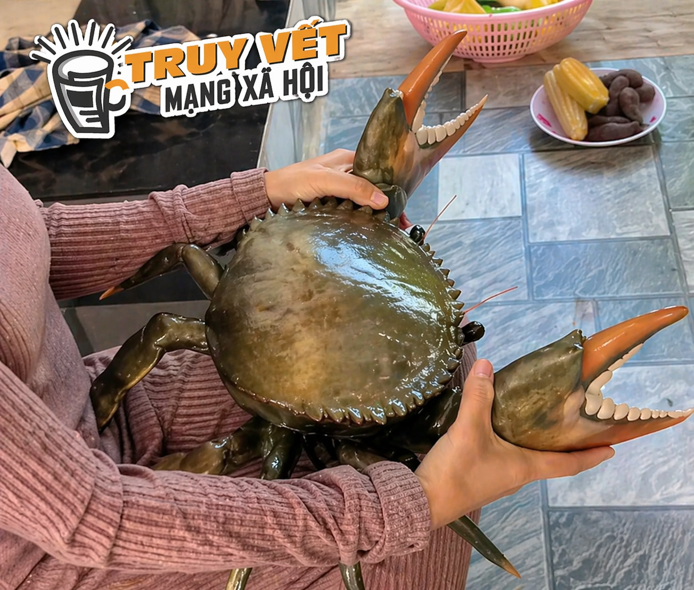 Clip con cua 7 kg ở An Giang nổi tiếng mạng xã hội với 4,4 triệu lượt xem - Ảnh 2