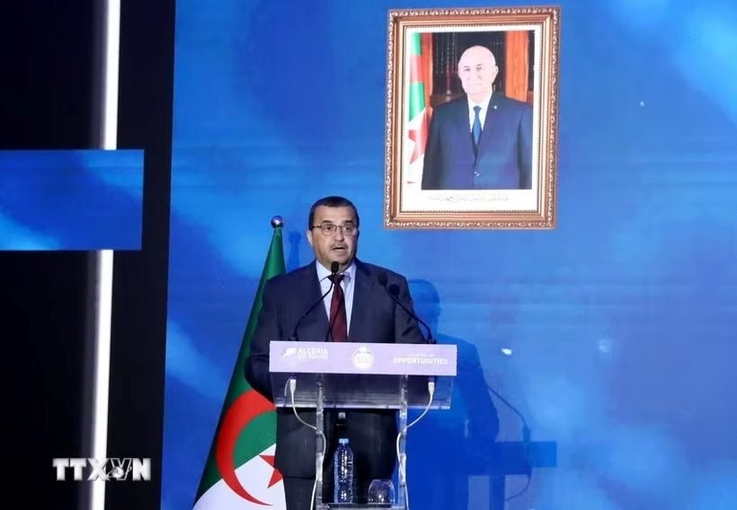 Đấu thầu thăm dò 7 lô dầu khí ở quốc gia Bắc Phi xuất khẩu khí tự nhiên lớn thứ 2 thế giới, DN Việt Nam nào xuất hiện? - Ảnh 1