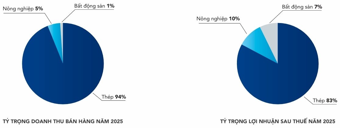 Đâu là mảng sinh lời tốt nhất của Hòa Phát? - Ảnh 2