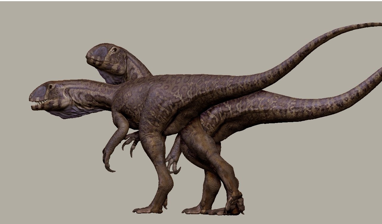 Quái vật 201 triệu tuổi "trỗi dậy" từ mỏ đá ở Mỹ - Ảnh 1