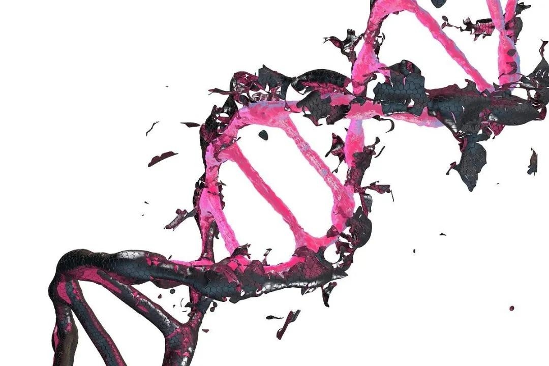 Một sinh vật đột biến đã được phát hiện ở Chernobyl, sở hữu những khả năng đặc biệt, bao gồm khả năng ăn bức xạ hạt nhân - Ảnh 3