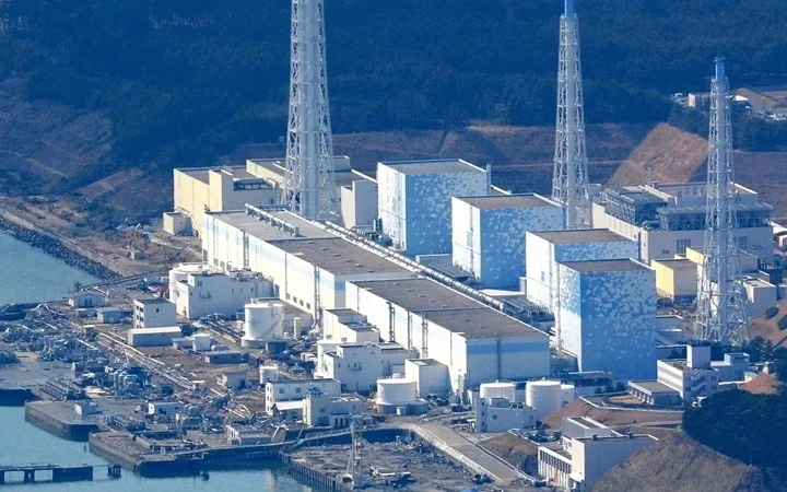 Nhật Bản phát hiện mức phóng xạ rất cao tại lò phản ứng Fukushima - Ảnh 3