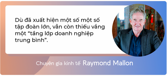 Từ gia công cho Ford, Honda cho đến sự xuất hiện của thế hệ doanh nghiệp tỷ đô Vingroup, FPT, Hòa Phát…: Thấy gì về sự “lột xác” của kinh tế tư nhân Việt Nam? - Ảnh 14