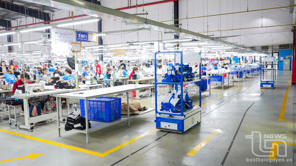 "Không tăng năng suất, chỉ có chết": Trước sự thật khắc nghiệt, đại gia dệt may Việt Nam tự chế tạo robot với giá bằng một nửa Trung Quốc - Ảnh 2