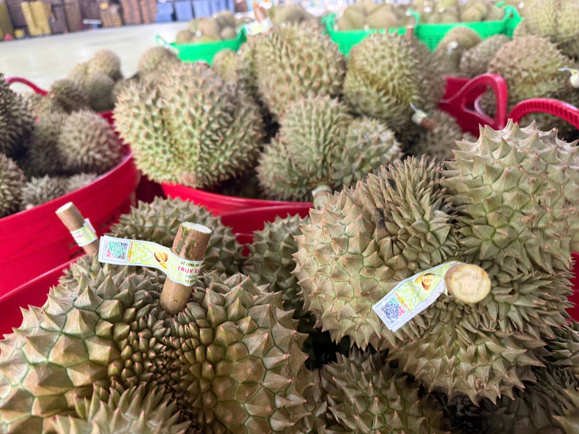 Xuất khẩu lô sầu riêng đầu tiên nhờ thông quan luồng xanh - Ảnh 2