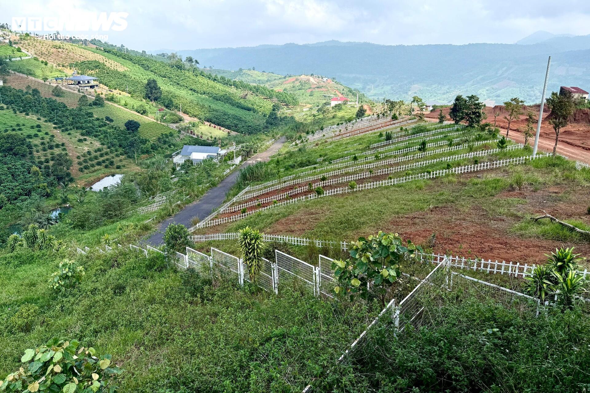 Đất nền phân lô 'chôn vốn' 4 năm, rao bán cắt lỗ không ai mua - Ảnh 2