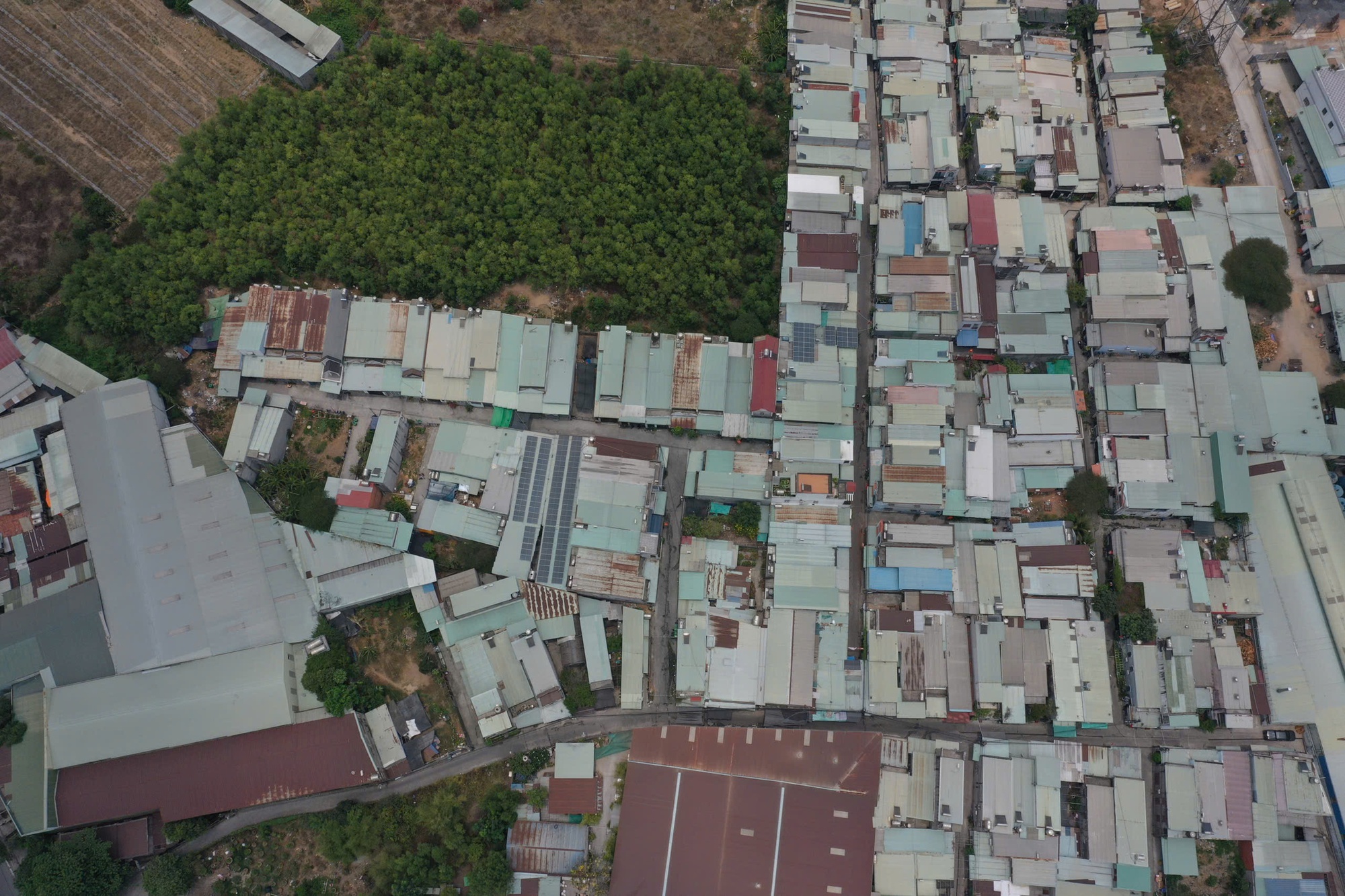 Vụ 48 căn nhà xây trái phép ở TPHCM: Chính quyền lên tiếng về bảo đảm quyền lợi cho người dân - Ảnh 1