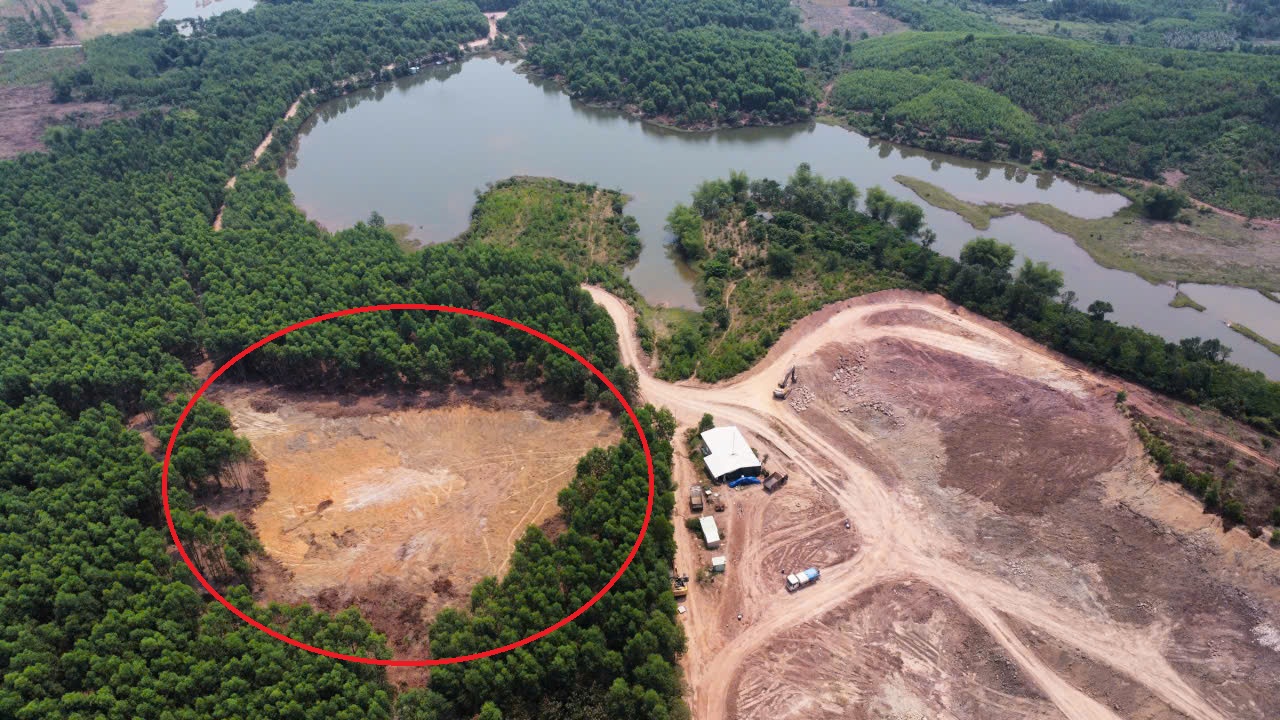 "Đất tặc" ở Đà Nẵng bị phạt, tịch thu gần nửa tỉ đồng - Ảnh 1