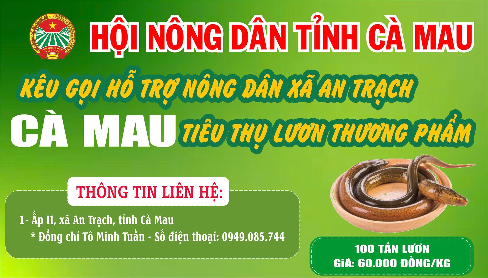 Cà Mau kêu gọi "giải cứu" lươn với giá 60.000 đồng/kg - Ảnh 1