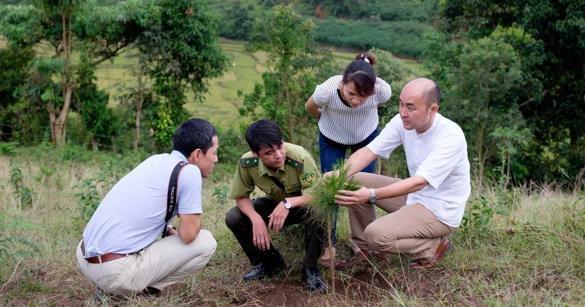 Việt Nam thu thêm gần 72 triệu USD nhờ 'bán không khí sạch'