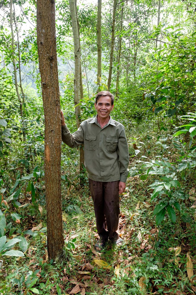 Việt Nam thu thêm gần 72 triệu USD nhờ 'bán không khí sạch' - Ảnh 1