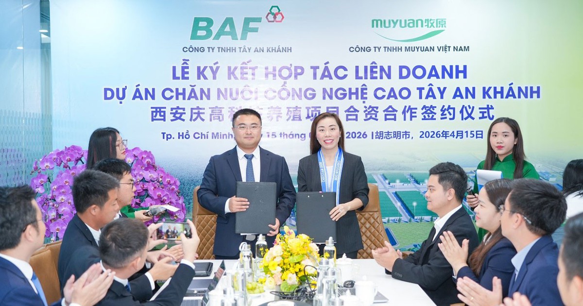 BAF liên doanh Muyuan vận hành trang trại công nghệ cao đầu tiên tại Tây Ninh