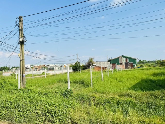 Nhà xây trên đất nông nghiệp vẫn được cấp sổ hồng - Ảnh 1