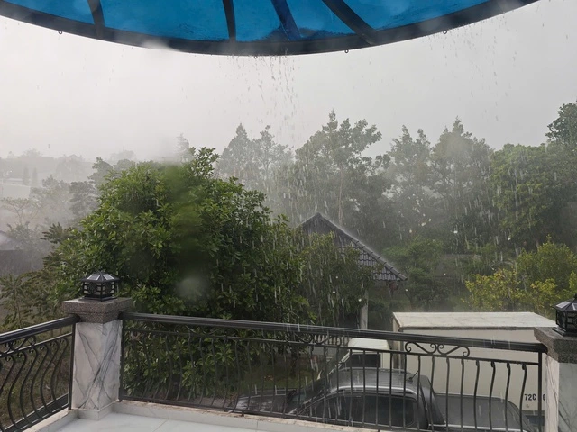 Bất ngờ 'mưa vàng' giải nhiệt một số tỉnh phía Nam - Ảnh 2