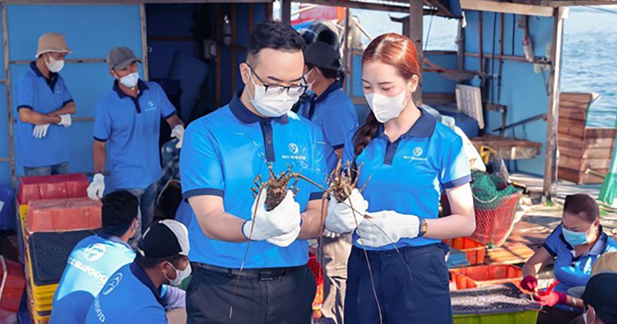 KLC Group: 9 năm kiến tạo nội lực, mở ra hành trình vươn tầm kỷ nguyên mới