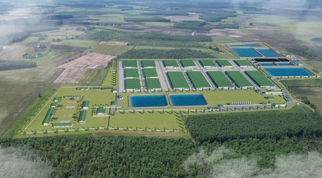 BAF liên doanh Muyuan vận hành trang trại công nghệ cao đầu tiên tại Tây Ninh - Ảnh 2