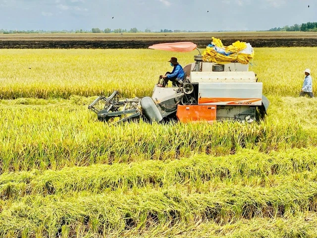 Ẩn số giá phân bón trong nước - Ảnh 2