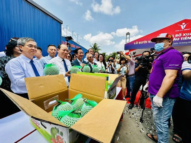 Xuất khẩu rau quả sang Trung Quốc sẽ tăng mạnh - Ảnh 2