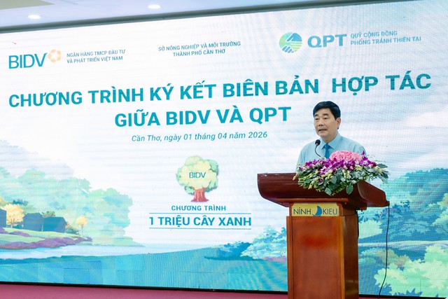 BIDV và QPT hợp tác trồng 240.000 cây xanh tại Đồng bằng sông Cửu Long - Ảnh 3