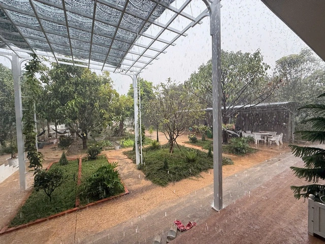 Bất ngờ 'mưa vàng' giải nhiệt một số tỉnh phía Nam - Ảnh 1