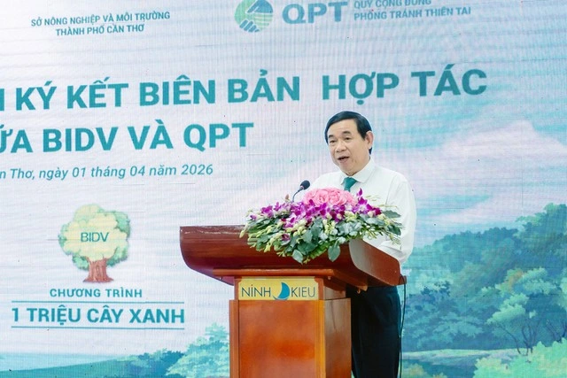 BIDV và QPT hợp tác trồng 240.000 cây xanh tại Đồng bằng sông Cửu Long - Ảnh 4
