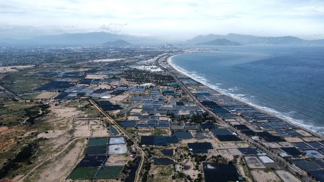 Khánh Hòa bàn giao mặt bằng 2 dự án điện hạt nhân trước ngày 30.6 - Ảnh 1