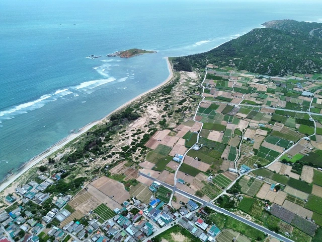 Khánh Hòa bàn giao mặt bằng 2 dự án điện hạt nhân trước ngày 30.6 - Ảnh 2