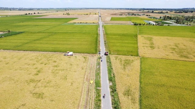 'Chứng thư' đặc biệt của loại gạo 3 lần ngon nhất thế giới - Ảnh 1