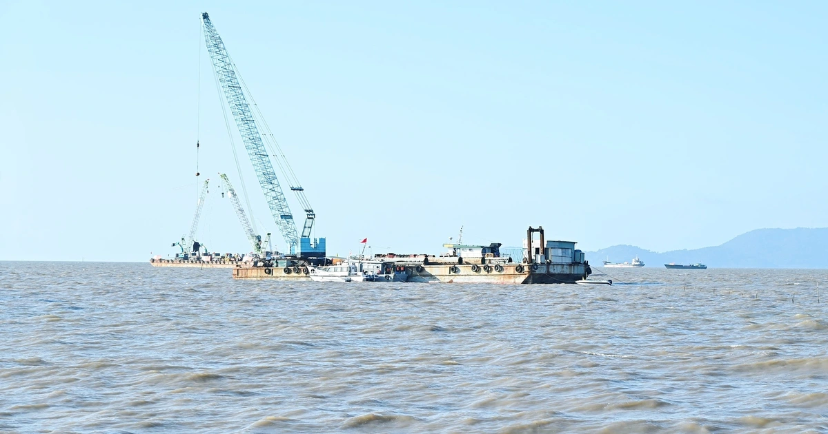 Cà Mau với khát vọng vươn xa