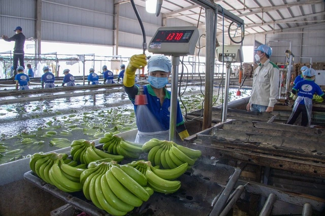 Xuất khẩu tiếp tục tăng mạnh giữa biến động - Ảnh 2