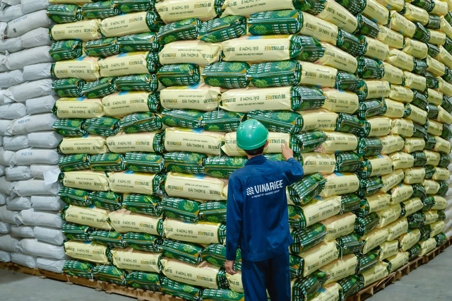 Đài Thơm 8 - Hạt gạo Việt trở thành thước đo giá trị - Ảnh 2