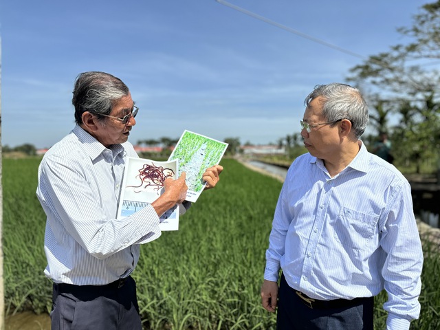 'Chứng thư' đặc biệt của loại gạo 3 lần ngon nhất thế giới - Ảnh 3