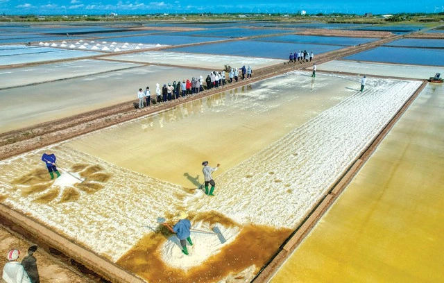 Khám phá vùng đất cực Nam của Tổ quốc - Ảnh 5