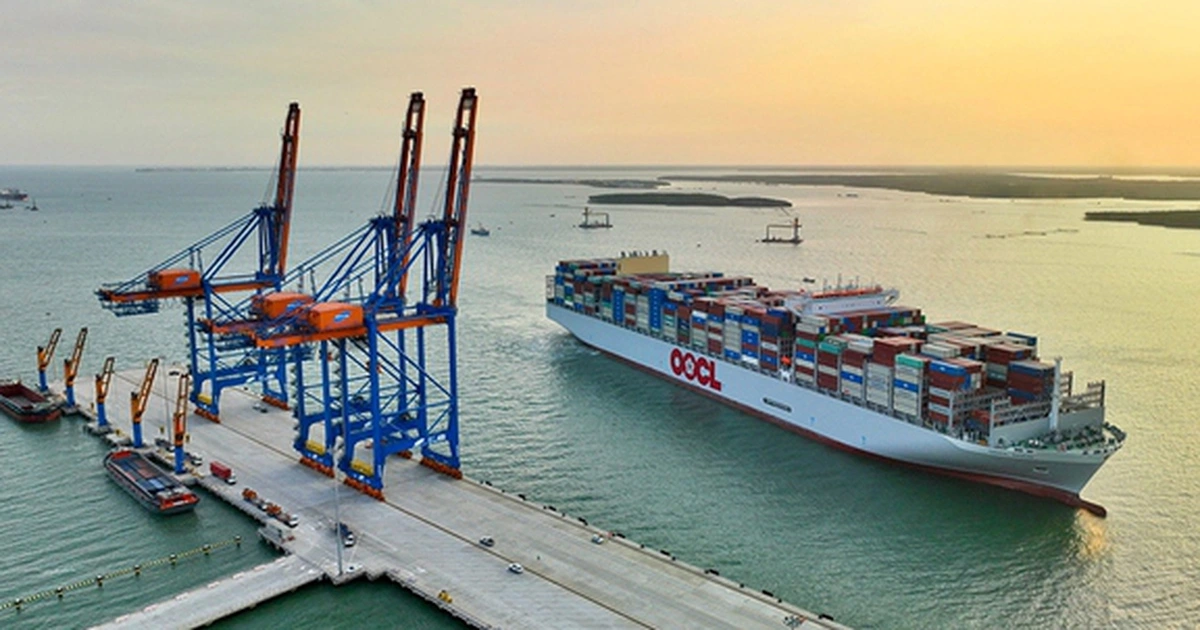 TP.HCM tính miễn thu phí hạ tầng cảng biển 3 năm, làm ngay từ tháng 4