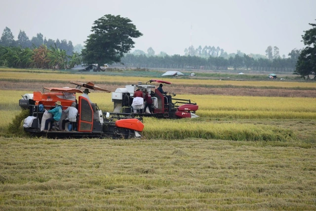 An Giang nỗ lực trở thành mô hình phát triển mới của Việt Nam - Ảnh 5