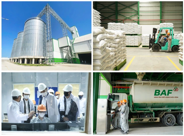 BAF vận hành thêm nhà máy cám heo ăn chay công suất 300.000 tấn/năm - Ảnh 2