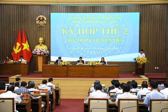 Chuyển gần 83 ha rừng ở Măng Đen làm khu đô thị hơn 6.640 tỉ đồng - Ảnh 1