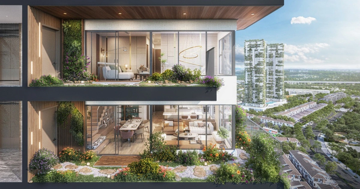 Khám phá Forest Onsen: Sản phẩm onsen trị liệu mỗi ngày từ nhà sáng lập Ecopark