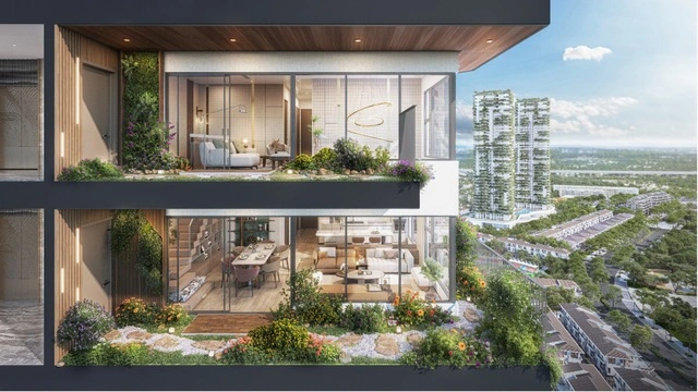 Khám phá Forest Onsen: Sản phẩm onsen trị liệu mỗi ngày từ nhà sáng lập Ecopark - Ảnh 1